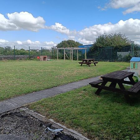 Y Doc At World Horizons Community Hub Hostel Llanelli Exterior photo